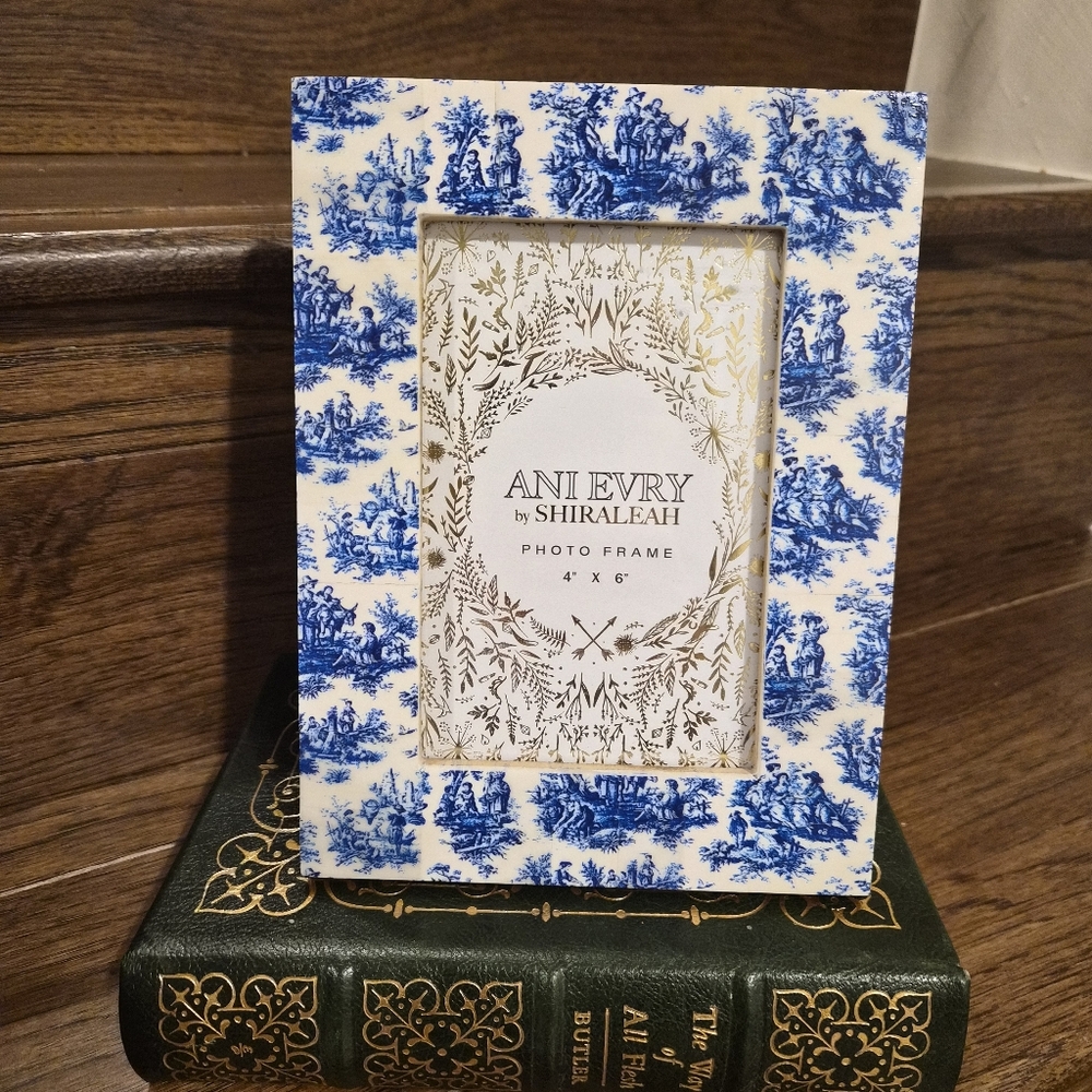 Shiraleah French Country Blue Toile Porcelain Frame NWOT